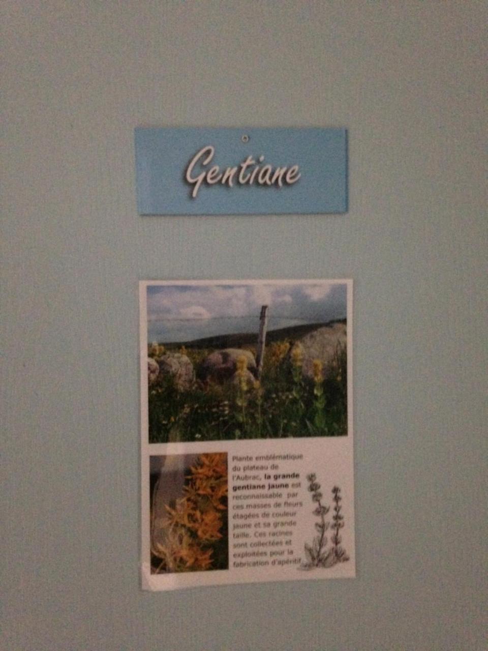 Gite Du Forail Laguiole Exterior foto